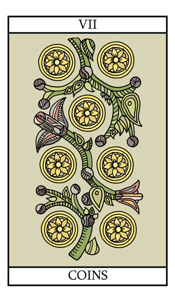 The Seven of Pentacles (Coins)